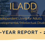 ILADD mid year report for year 2023