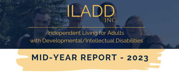 ILADD Mid Year Report 2023