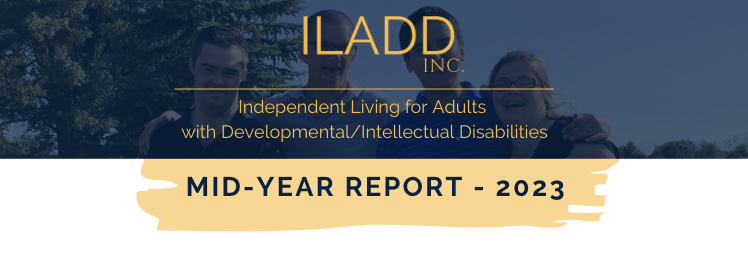 ILADD mid year report for year 2023
